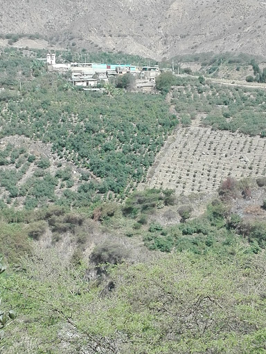 Municipalidad de Cáceres del Perú